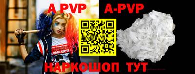 стаф Кунгур
