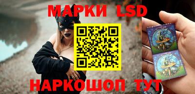 стаф Кунгур