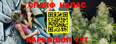 стаф Кунгур