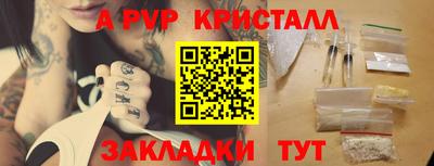 стаф Кунгур