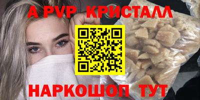 стаф Кунгур
