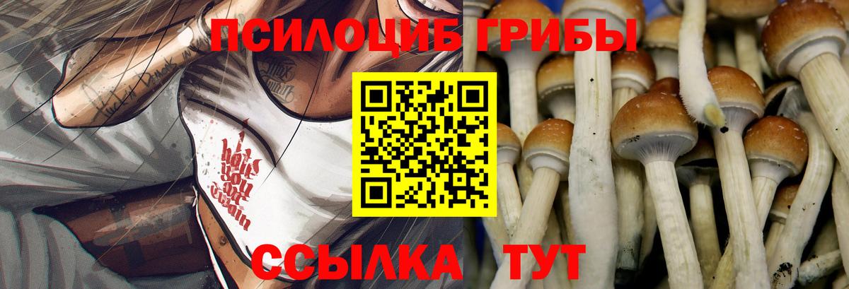 Псилоцибиновые грибы Psilocybine cubensis  Вход с VPN  Кировск  как найти закладки  Псилоцибиновые грибы прущие грибы 