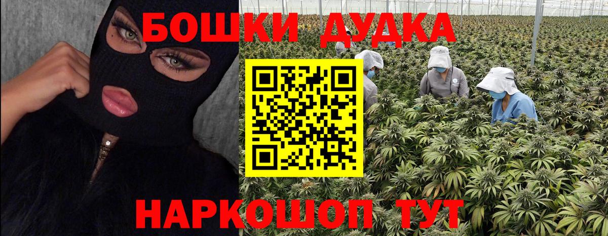 Конопля план Кировск